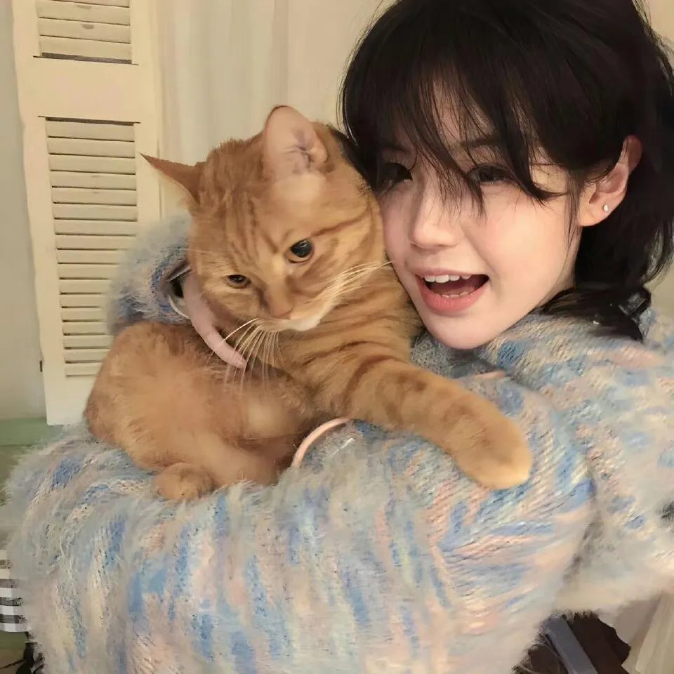 红杏出墙