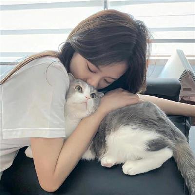 飓风行动：303中队