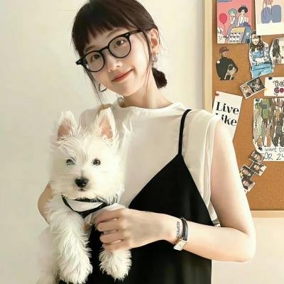 百慕大星际流浪者